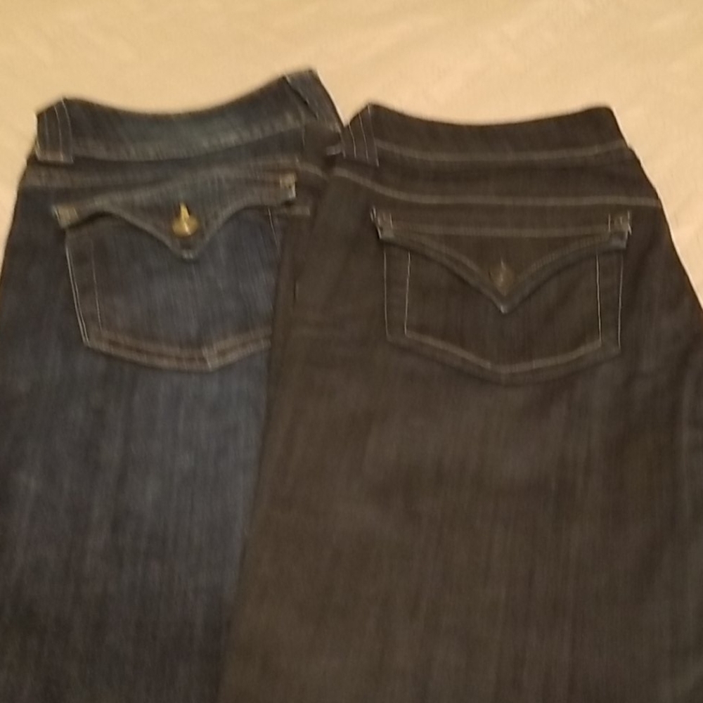 Hudson Flare Legged Jeans